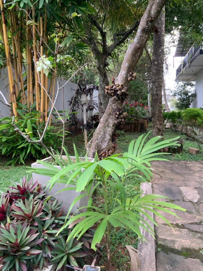 Lali Villa & Fruit Garden ガル エクステリア 写真