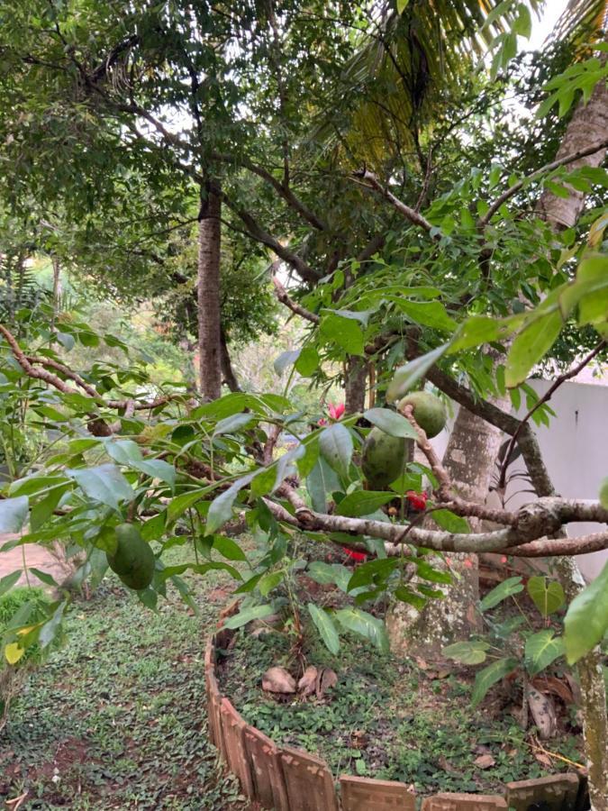 Lali Villa & Fruit Garden ガル エクステリア 写真