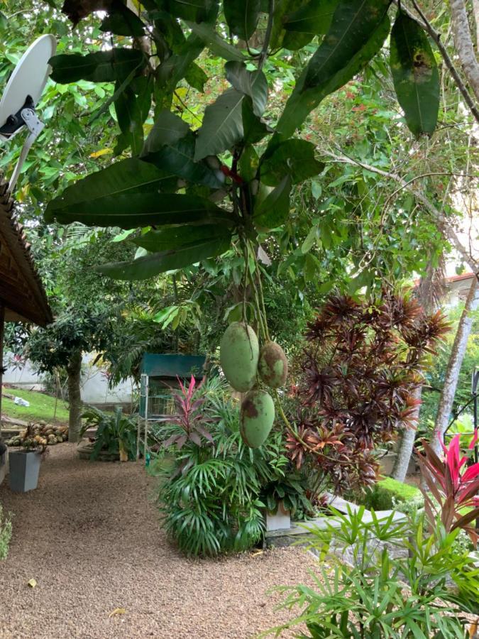 Lali Villa & Fruit Garden ガル エクステリア 写真